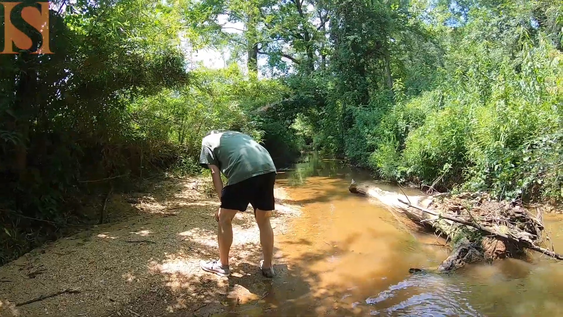 No one comes out here - searching a remote creek for artifacts