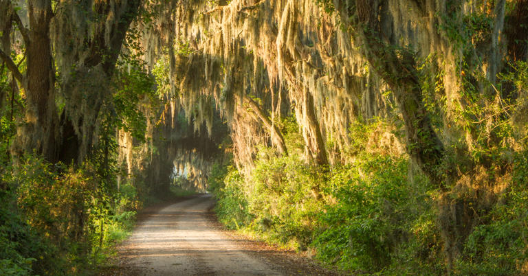 14 quaint Southern cities where you can retire on $950 a month (or less)
