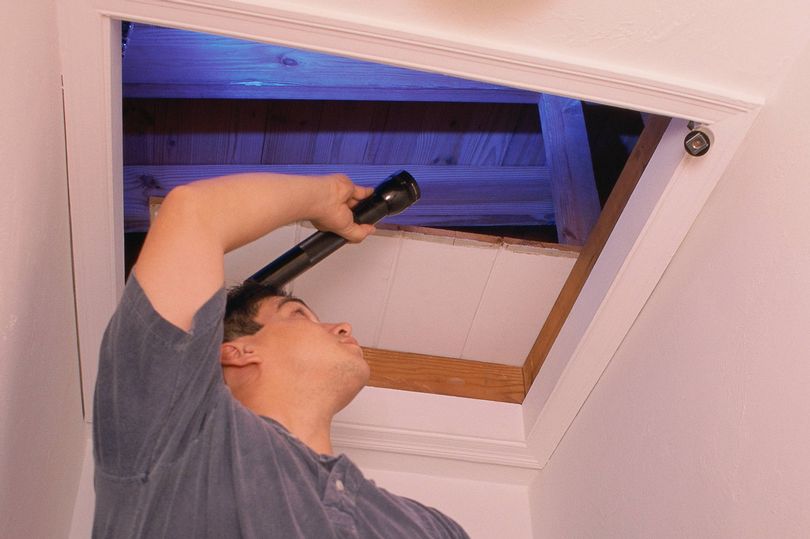 Couple can't believe luck after finding dream item hidden in attic of ...