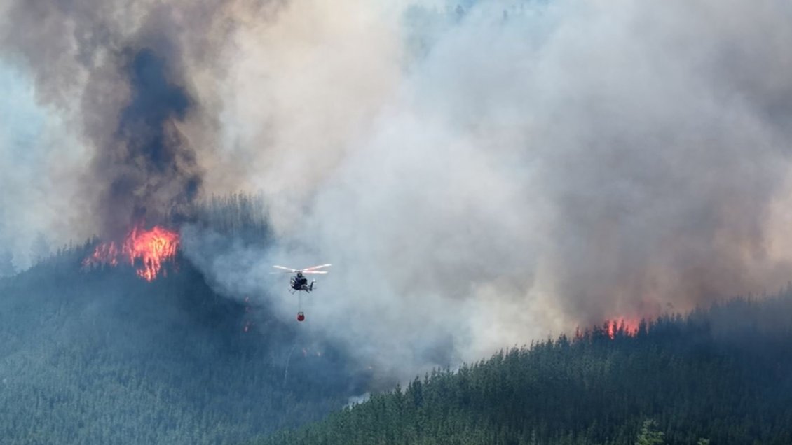 Humo de megaincendio en la Patagonia argentina llega a la Antártica y ...