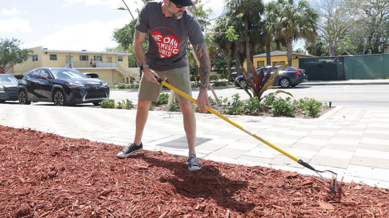 16 landscaping hacks we wish we learned sooner from TikTok