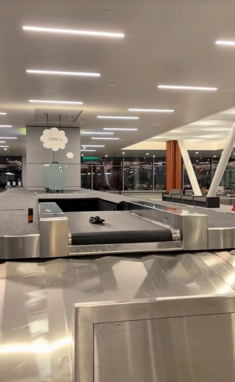Hilarious baggage claim debacle caught on video as mortified passenger ...