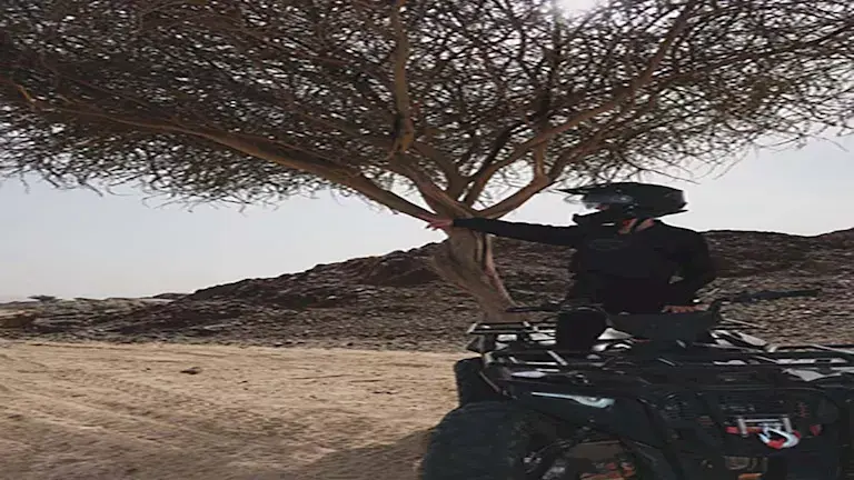 بسمة بوسيل رحلة سفاري