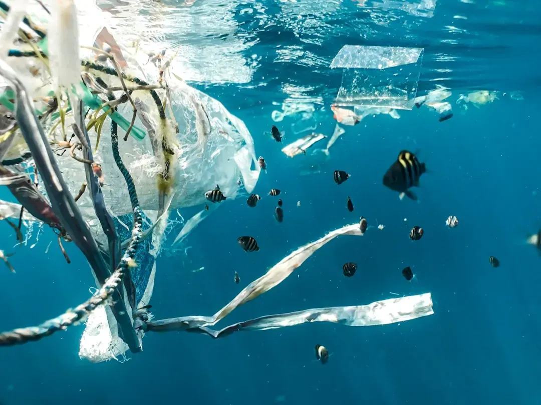 8 everyday items that are wrecking the environment without you knowing