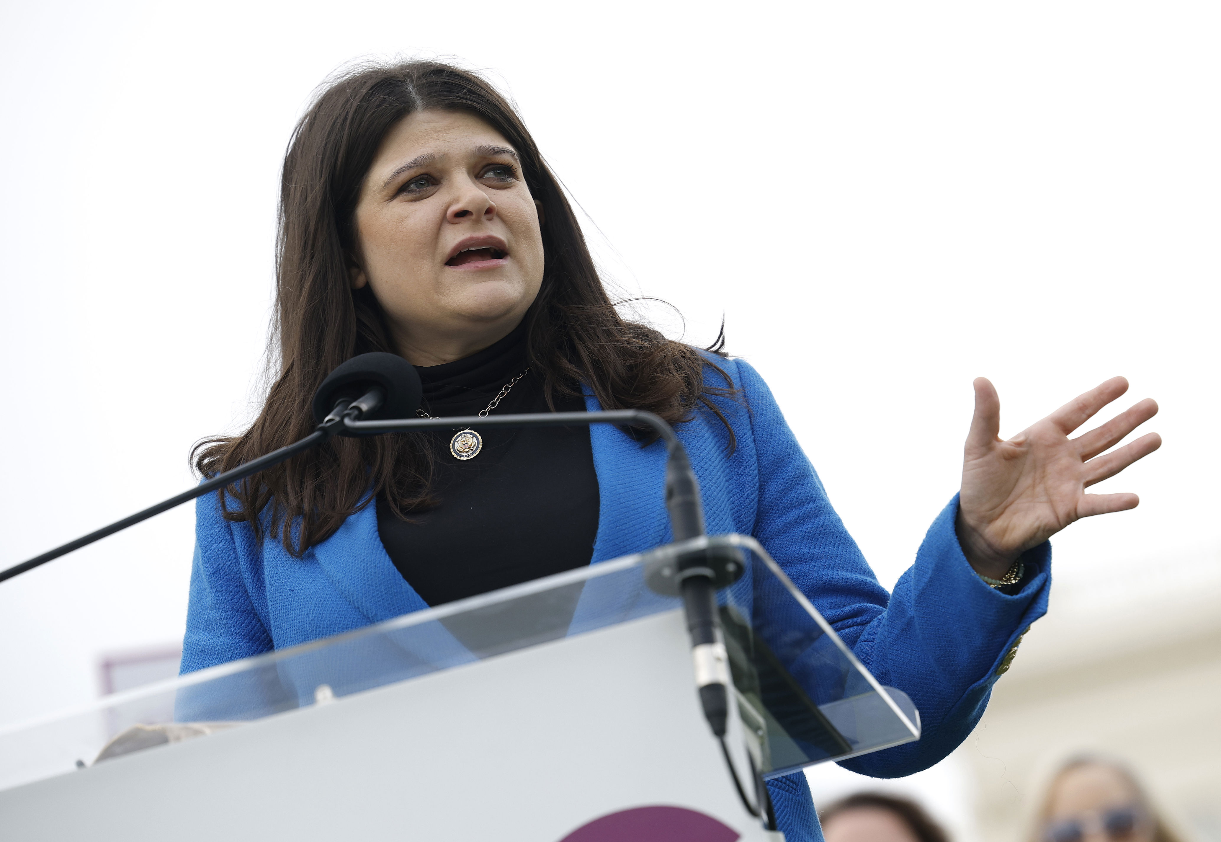 Democrats get warning signs in new Michigan poll<br>