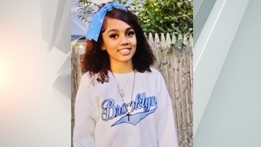 Search for missing girl underway