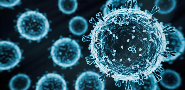 Highly pathogenic avian influenza confirmed in Georgia commercial ...