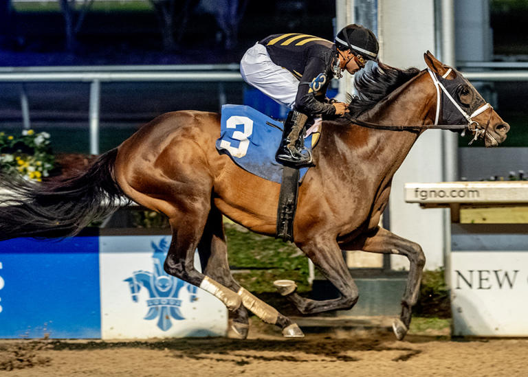 Brad Cox targets third Lecomte title with trio of contenders