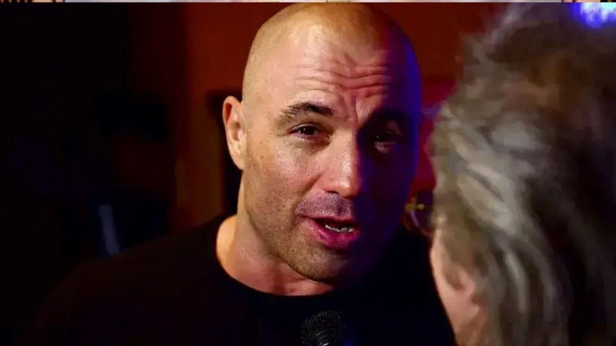 The View's Sunny Hostin refuses to believe Joe Rogan is a 'changed ...