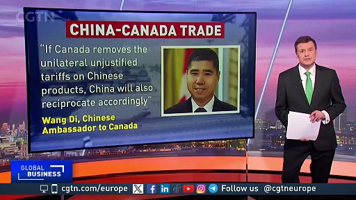 How can Canada reboot trade ties with China? A look at the key issues ...