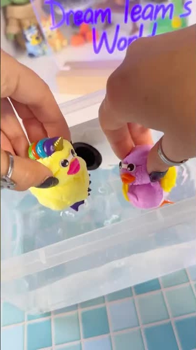 Wonder factory ducky set ASMR sensory play