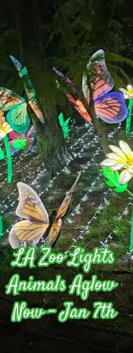 Must see! LA Zoo Lights Animals Aglow (ends on 1/7/2024) #lazoo # ...