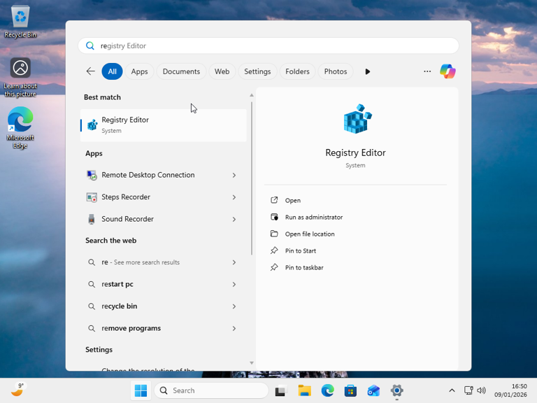 Searching for Windows Registry returns web results. 