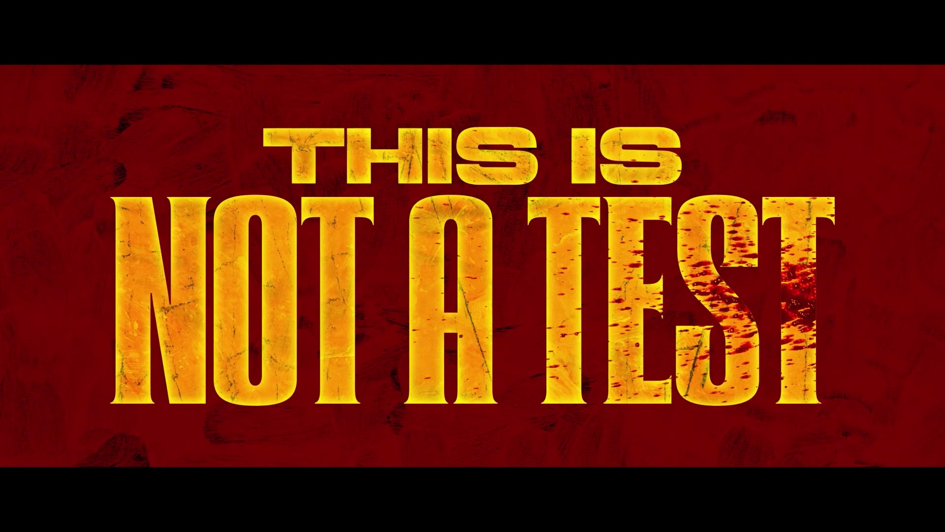This is not a test movie