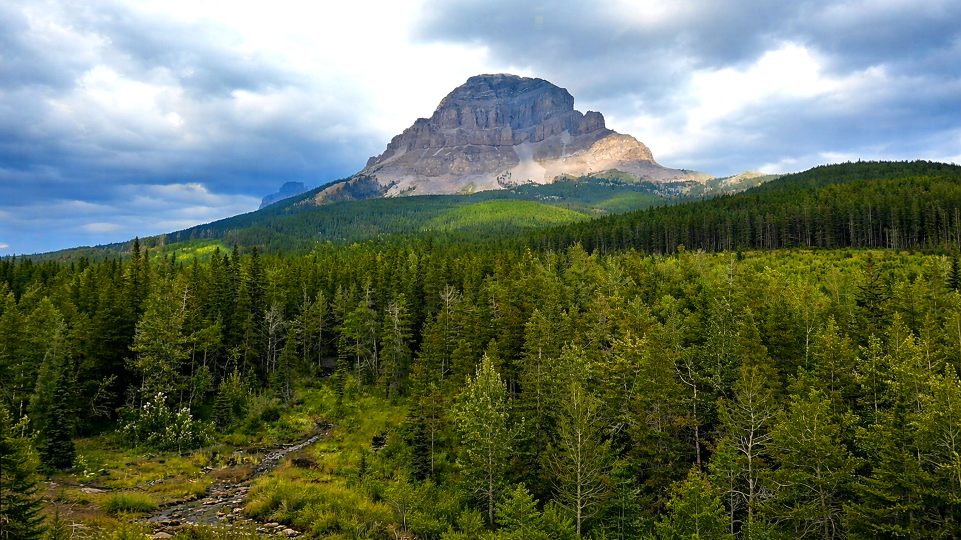 A forested valley beneath a steep mountain face