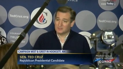Decade-old clip resurfaces of Ted Cruz warning Trump 'might nuke Denmark'