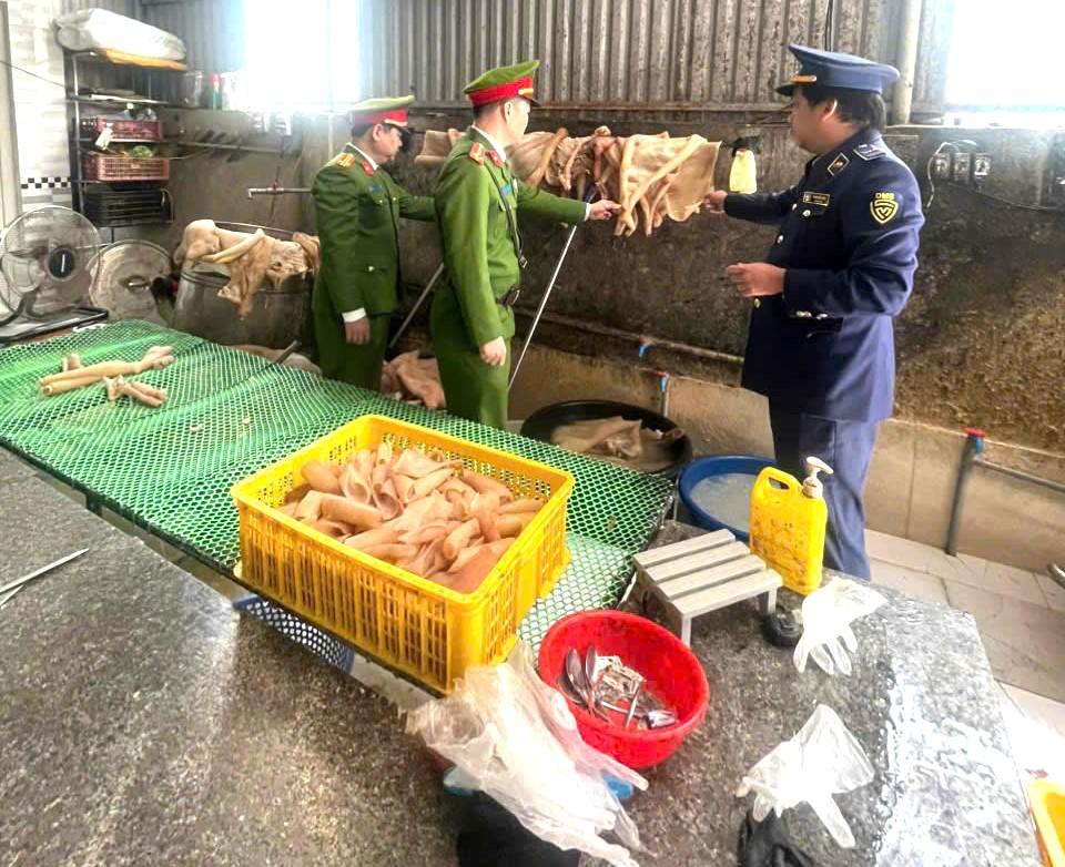 Công an phát hiện 1 tấn da lợn không rõ nguồn gốc tại Nghệ An