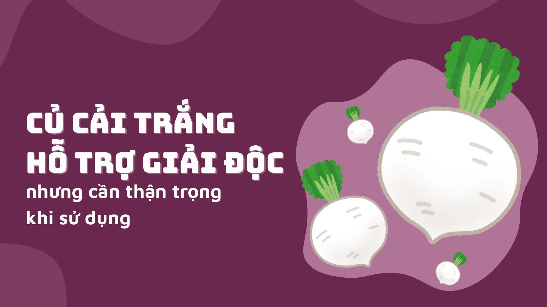 Củ cải trắng hỗ trợ giải độc nhưng cần thận trọng khi sử dụng
