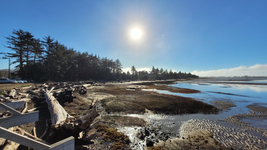Photos: Oregon Coast sees rare January sunshine, warm temps