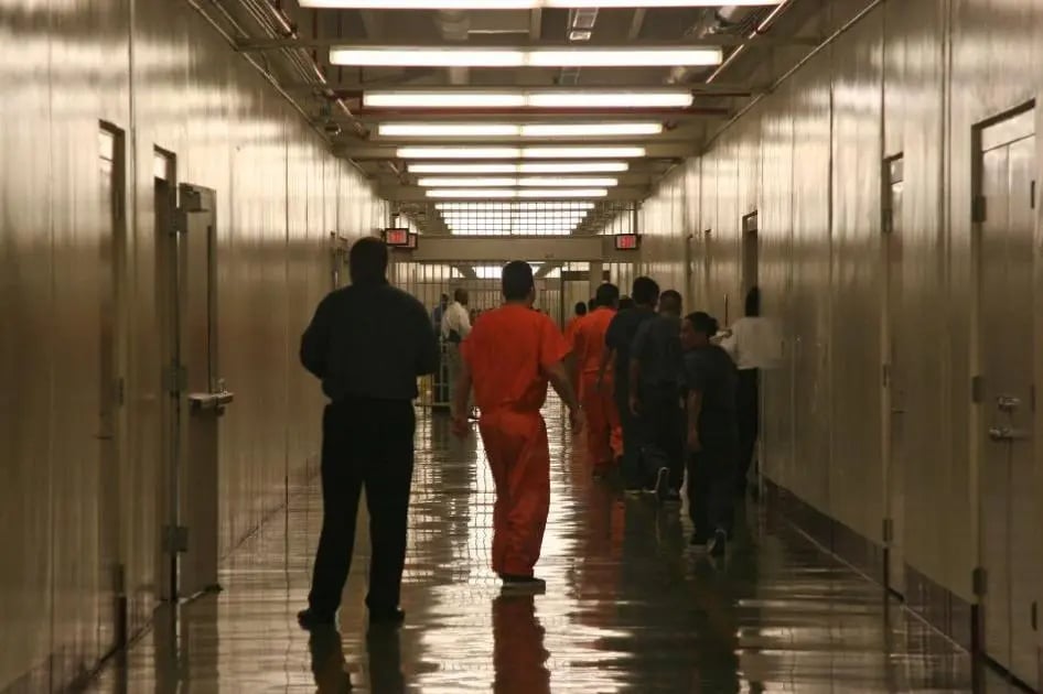 Migrant deaths in US ICE detention rise sharply under TrumpPublished on ...