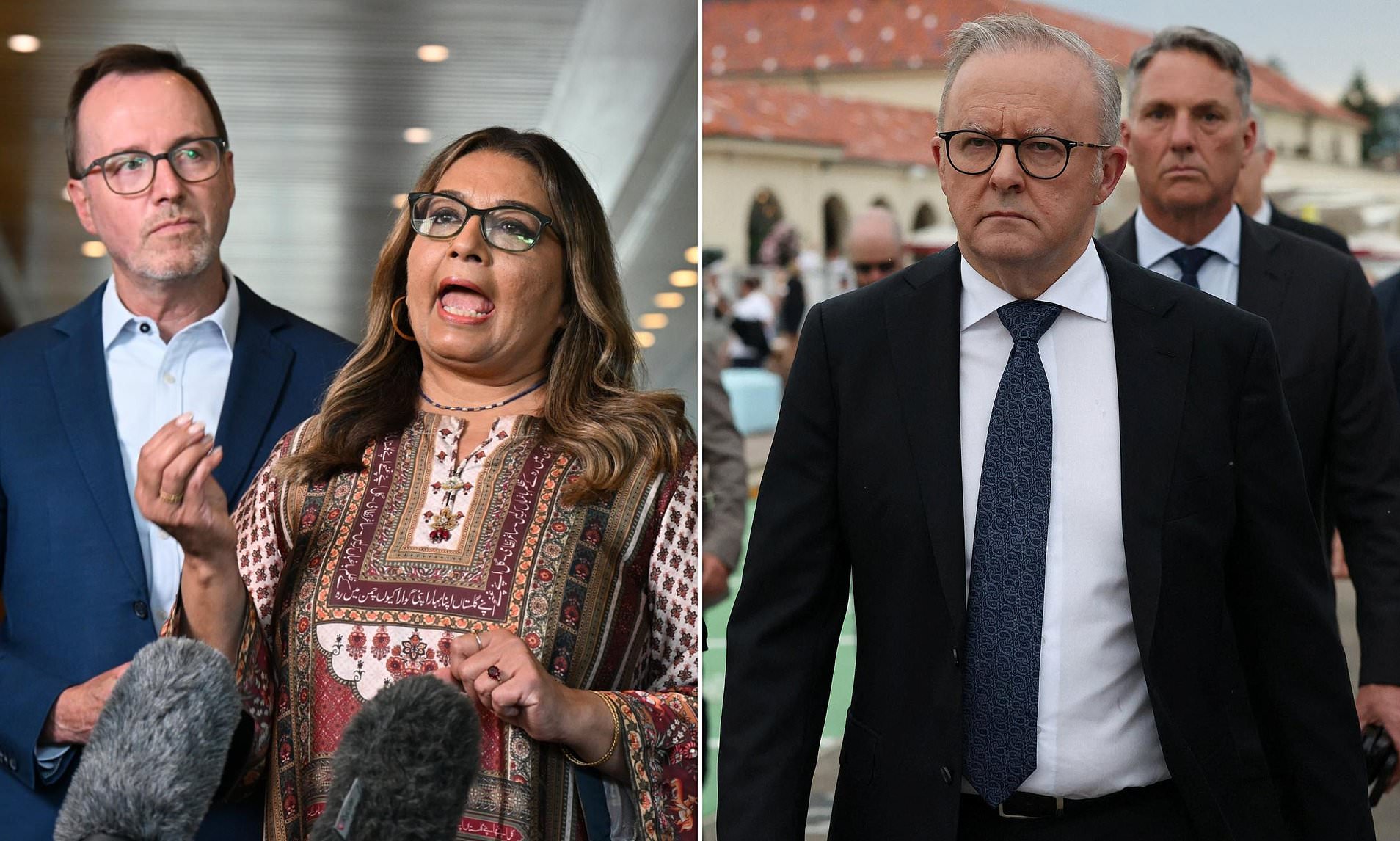 Staggering blow to Albo's draconian 'hate speech' laws as the Greens ...