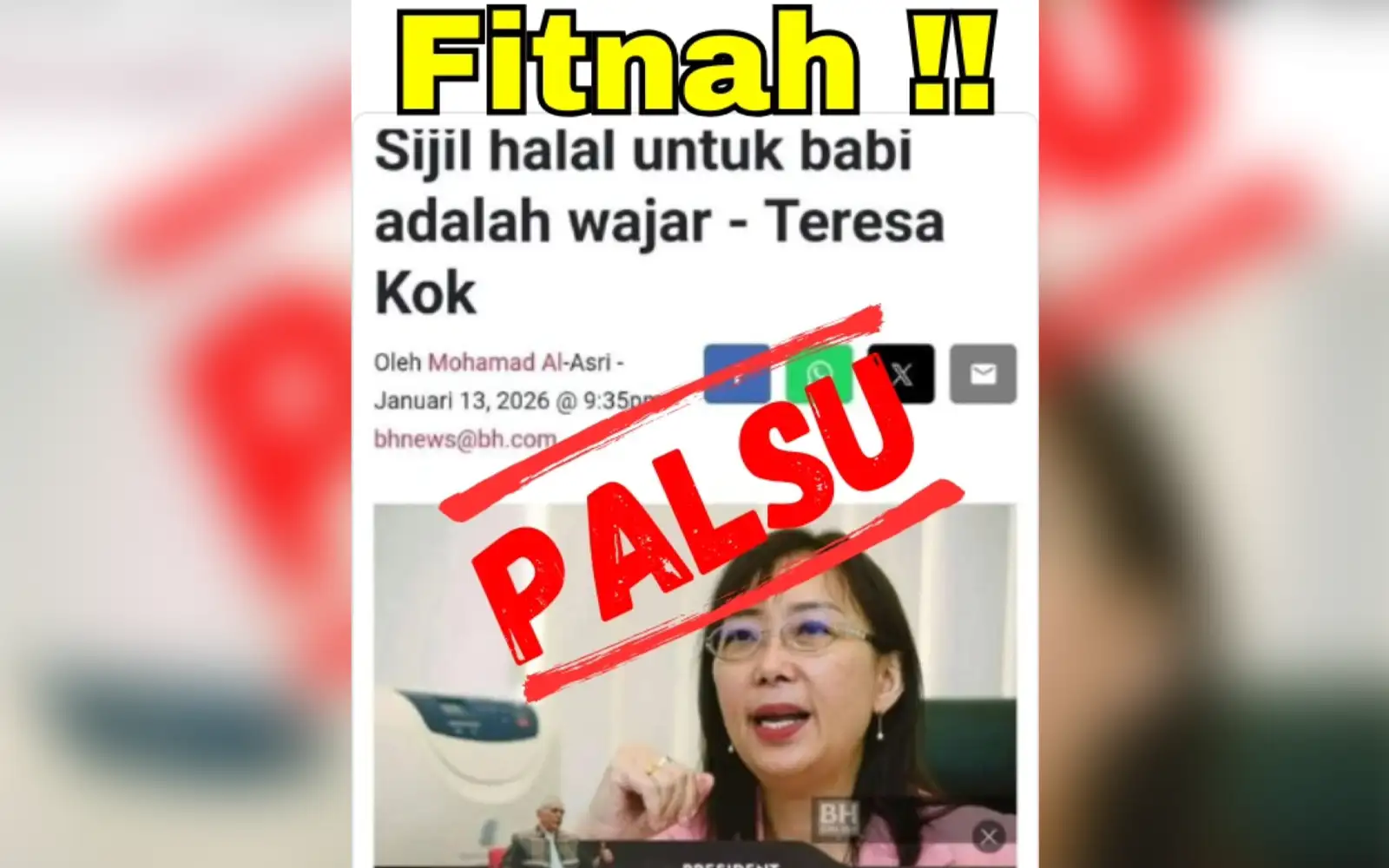 Kok files report over viral 'halal certification for pigs' fake article