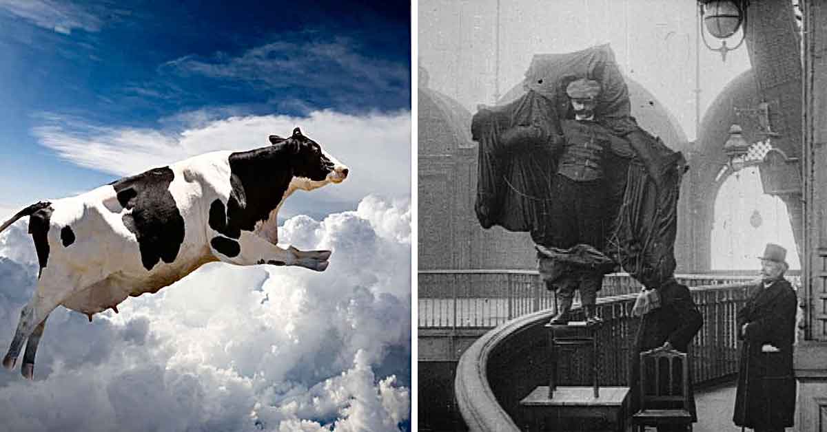 Comedy or tragedy? 14 times death had some humor to it