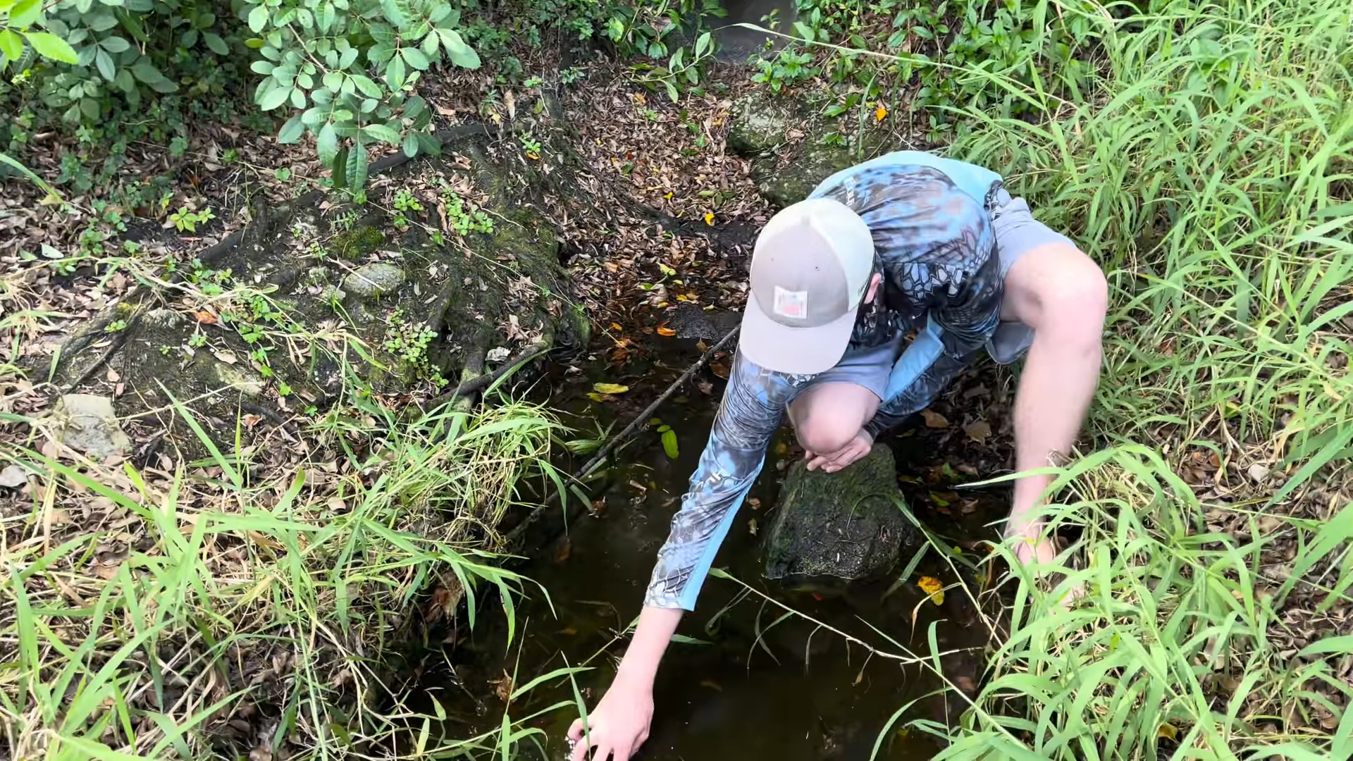 Saving abandoned aquarium fish - You won’t believe what we found