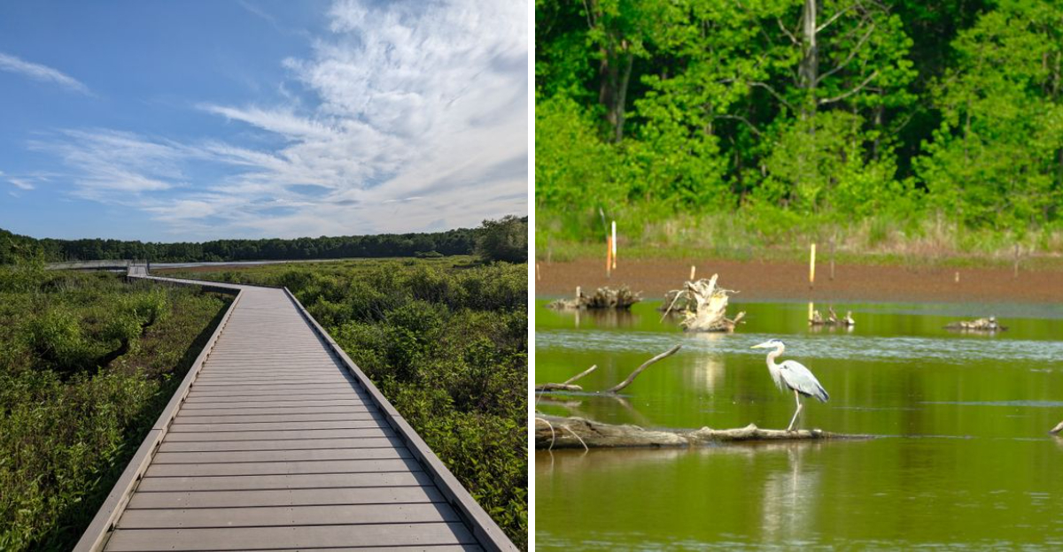 A park in Virginia where locals love to watch wildlife and enjoy quiet ...