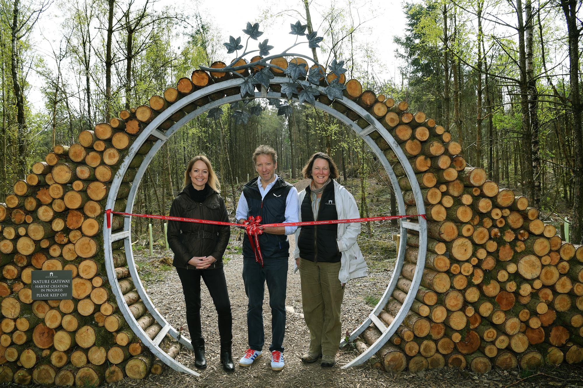 Lucy Pittaway: Sycamore Gap artist announces gallery closures with a ...
