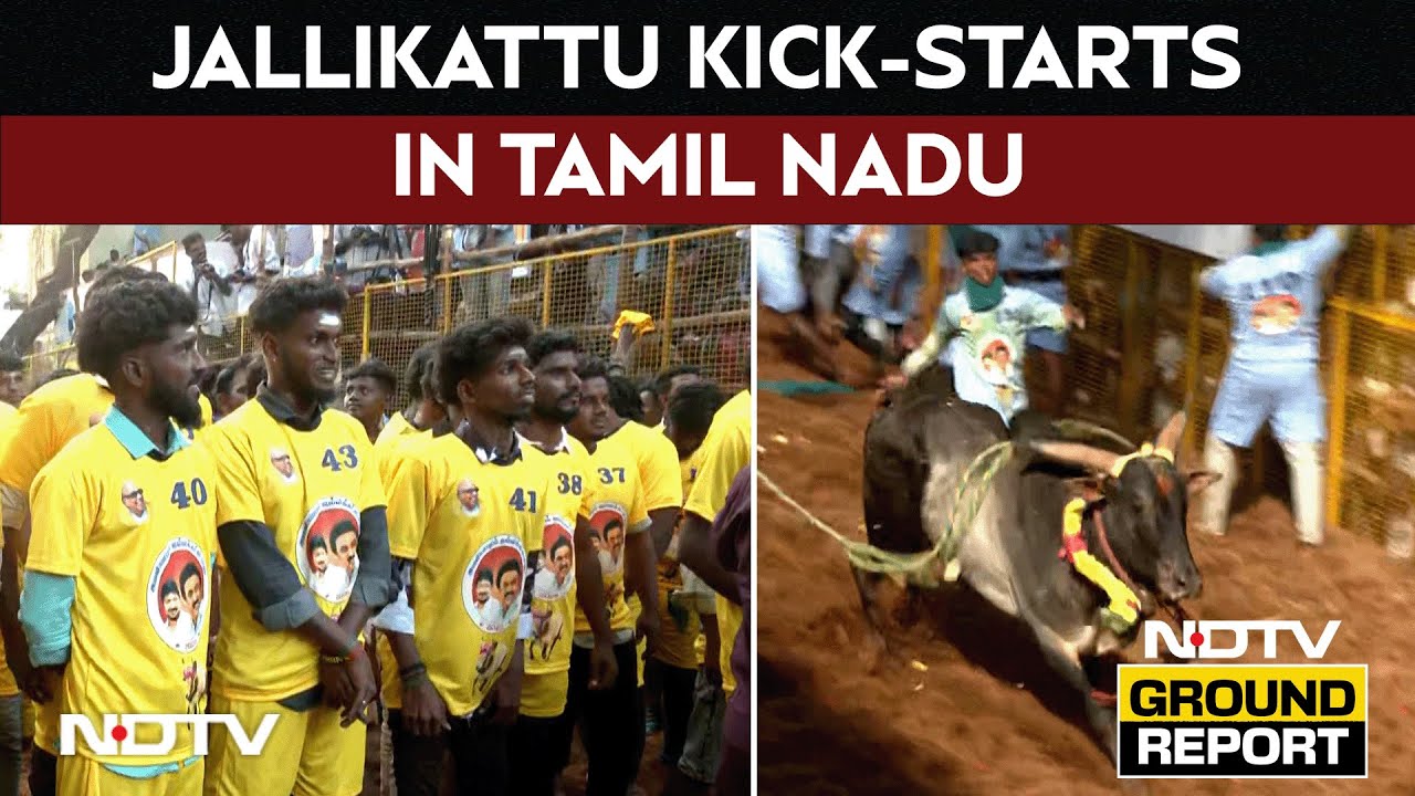 Jallikattu news | Popular Avaniyapuram jallikattu kicks off, over 1,000 ...