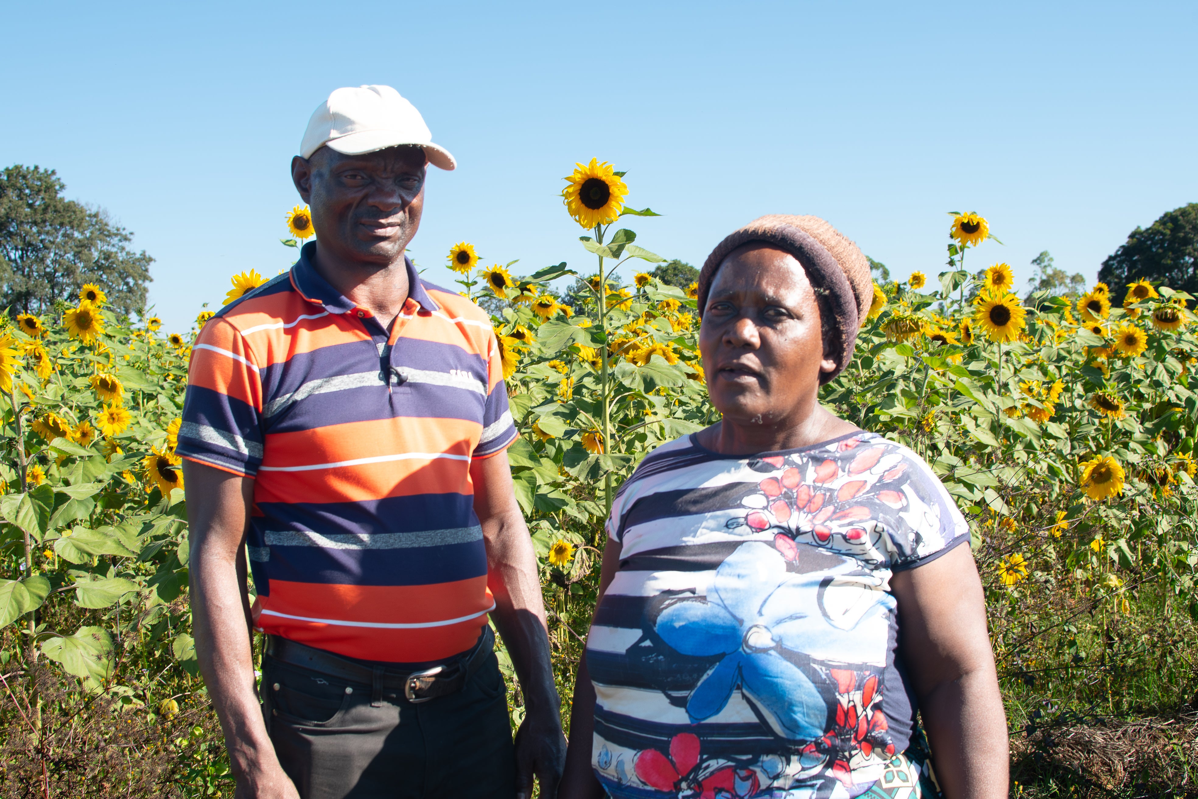 Controversial Zimbabwe land reform 'helps farmers over climate crisis'