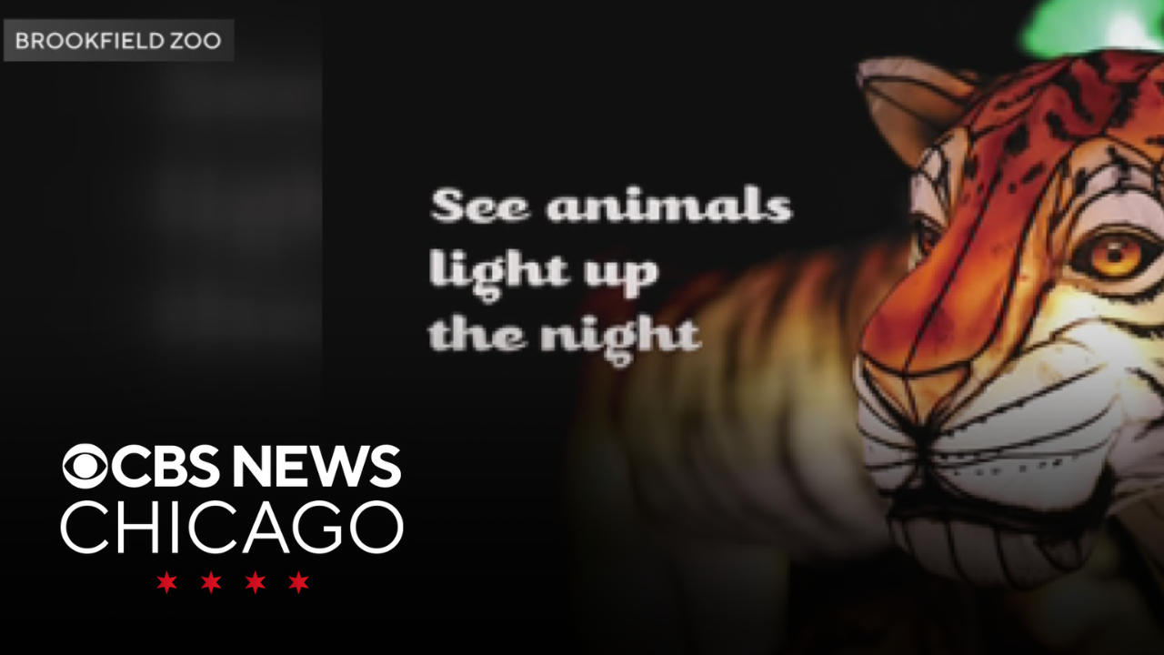 Brookfield Zoo hosting spring lantern festival