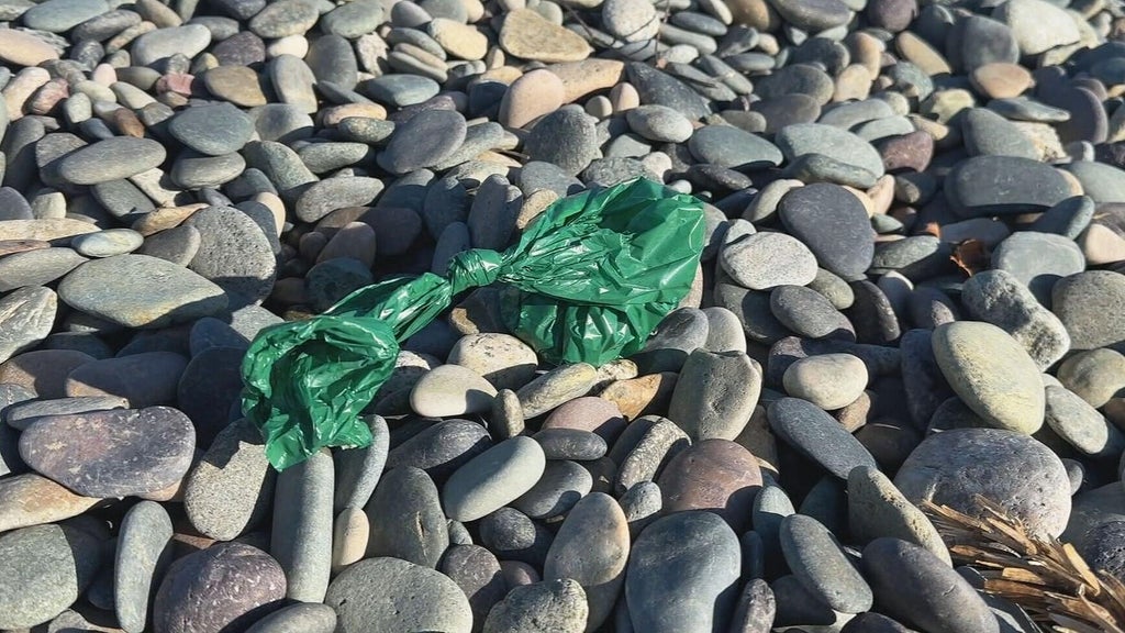 Why do so many dog walkers leave poop bags behind? Here's why it matters.