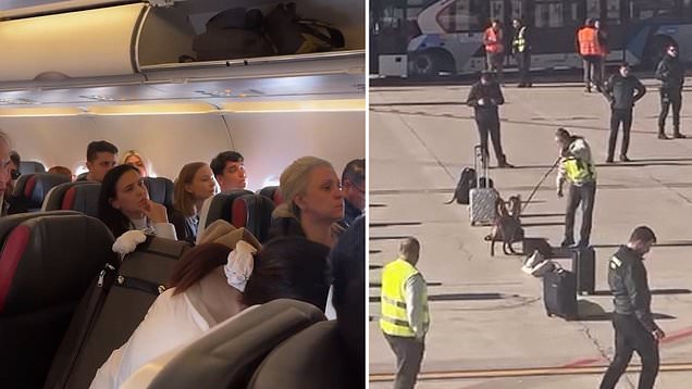 Armed officers swarm Turkish Airlines flight after touchdown in Barcelona
