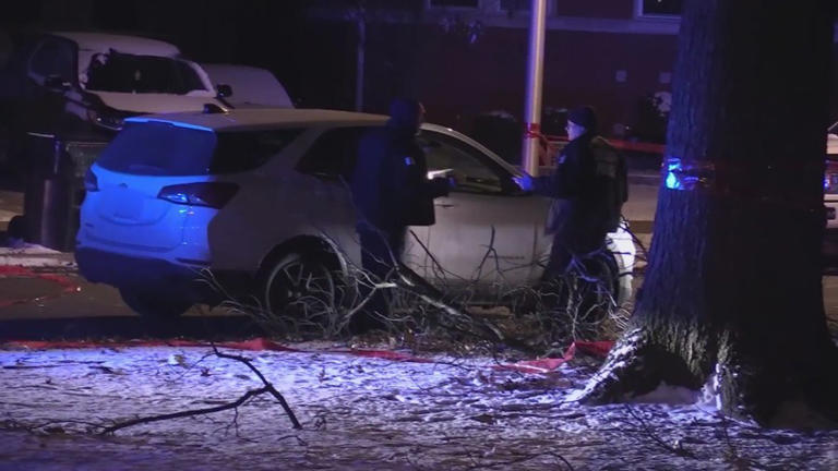1 killed, 2 injured in overnight shooting in Morgan Park