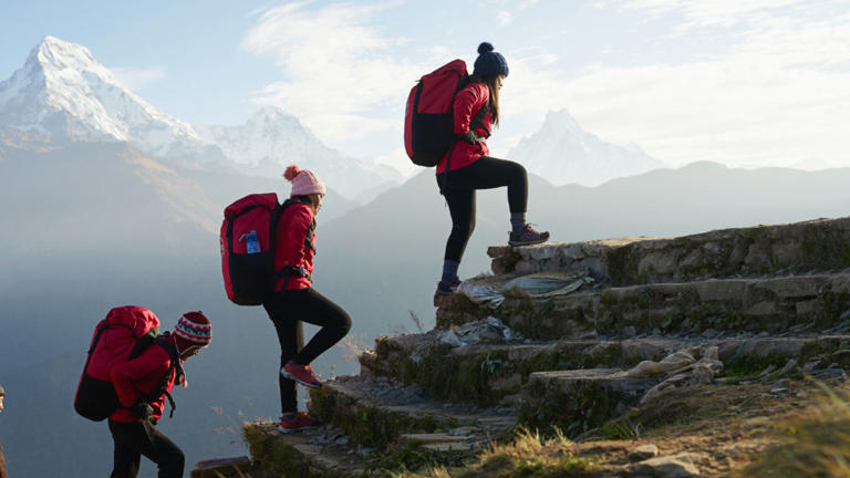 Intrepid Travel doubles down on climate action with new department and ...