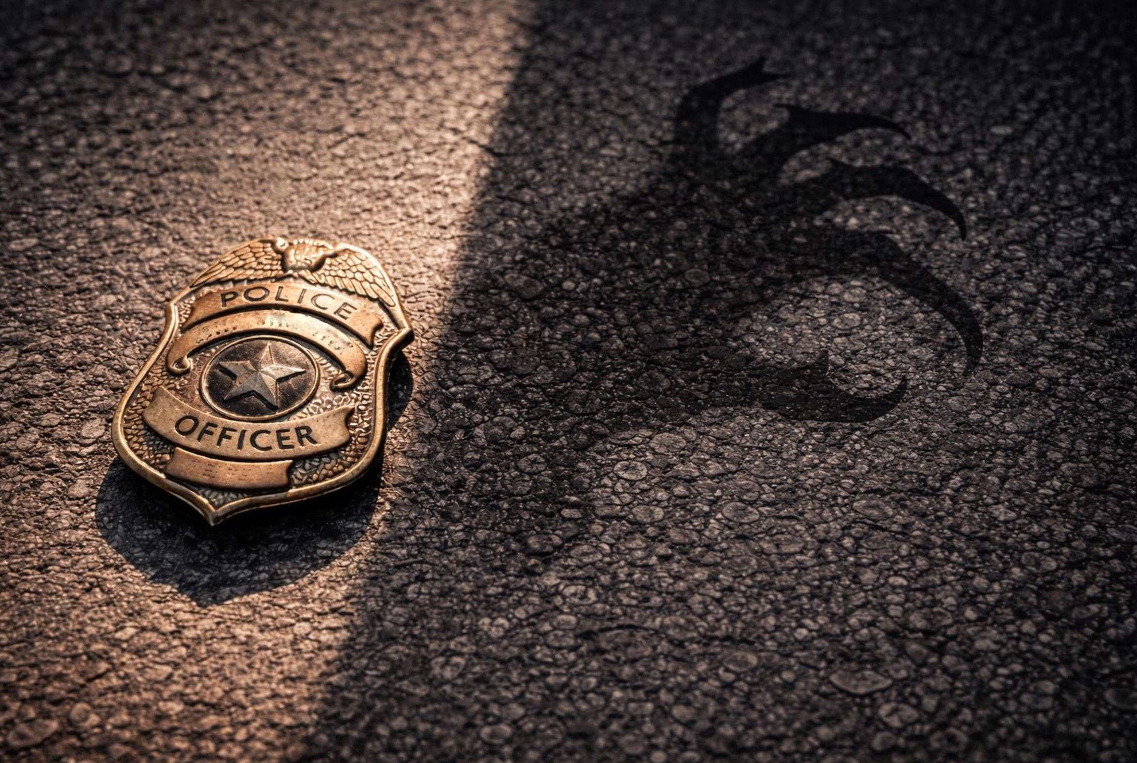The badge versus the badger: A long-time law enforcement officer ...