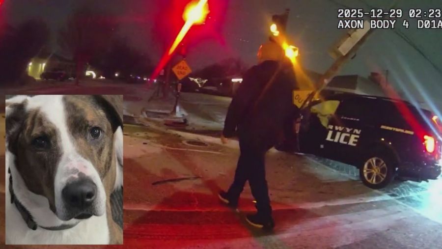 Berwyn officer cited for DUI in police car crash<br><br>