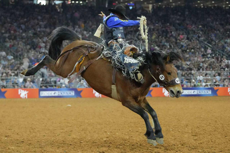 Volunteer spots are nearly full for the Houston rodeo, but these ...