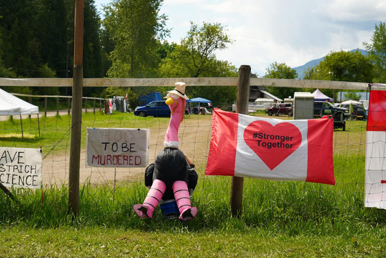 Tribunal fines BC.'s Universal Ostrich farm $10K for failing to report ...