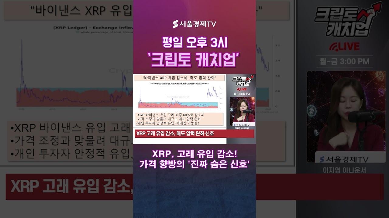 XRP 고래들이 움직임을 멈췄다?” 가격 향방의 숨은 신호 #리플 #XRP #비트코인 | Watch