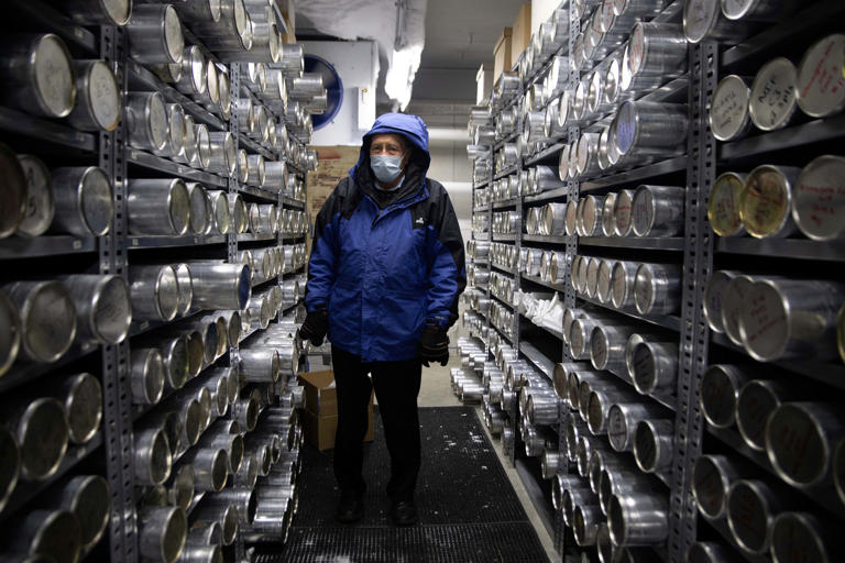 Scientists seal a backup for humanity in world's first ice vault in ...