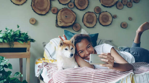 How social media is changing pet adoption in India
