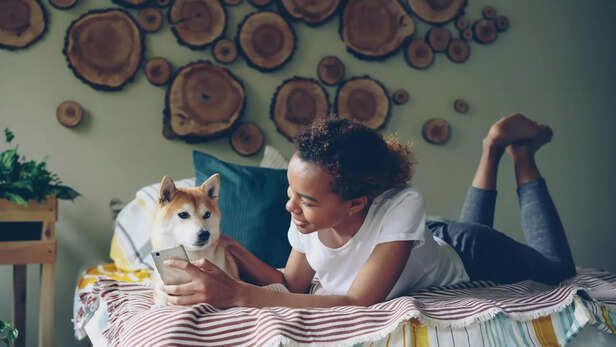 How social media is changing pet adoption in India