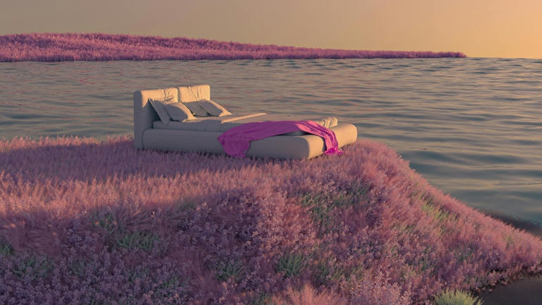 Can't stop scrolling at night? How a ‘Digital Sunset' can fix your sleep