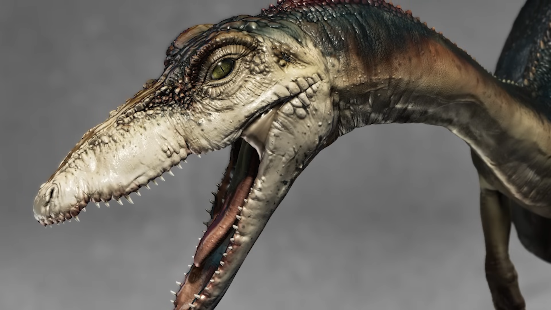 How a small carnivore became the face of the Triassic world