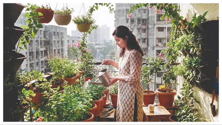 Urban gardening in Mumbai: In a city that’s short on space, green finds ...