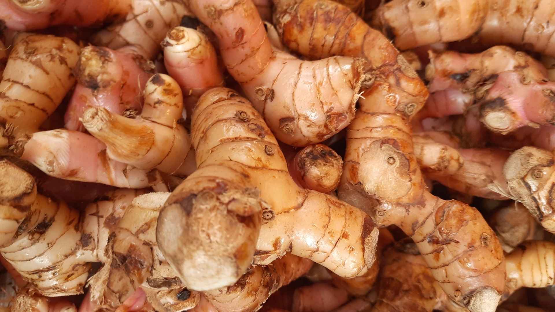 Củ riềng và những tác dụng phụ ít người biết khi sử dụng
