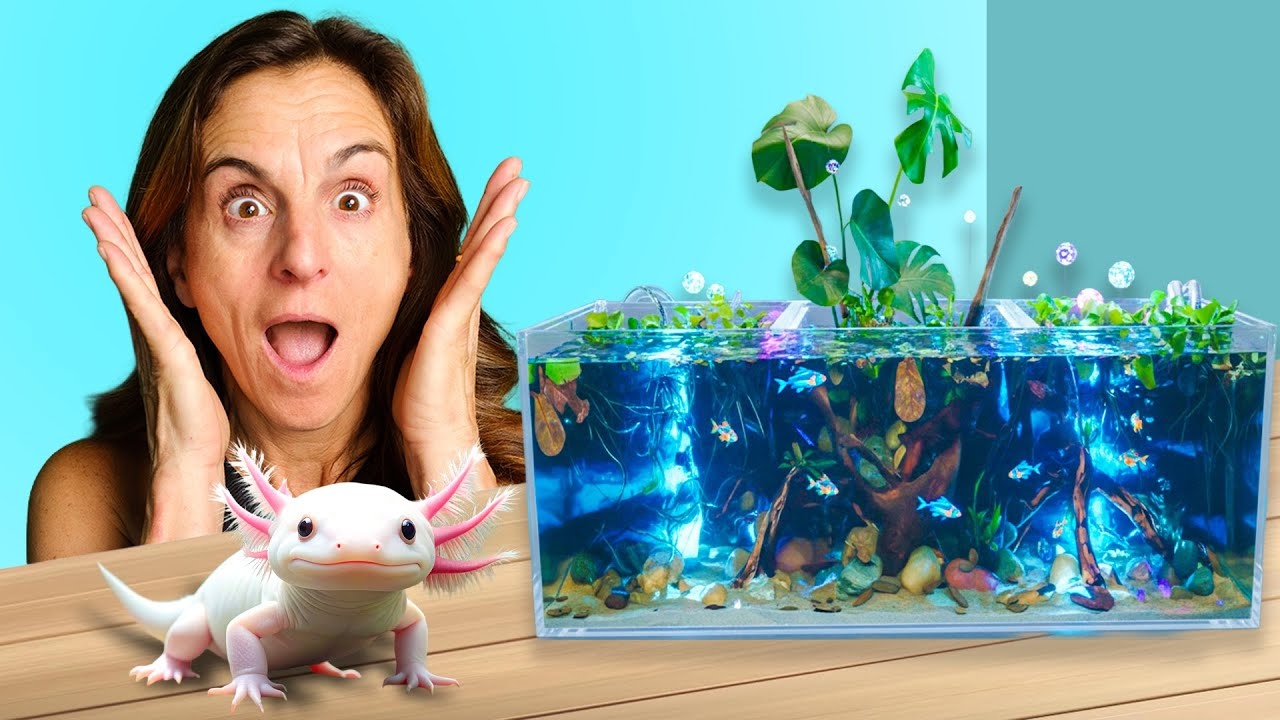 When a controlled habitat began functioning on its own